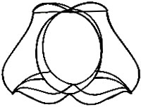 LampHats.com &reg;&copy;